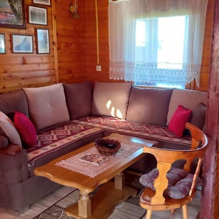 Family Farm Apartments Žabljak Exteriör bild