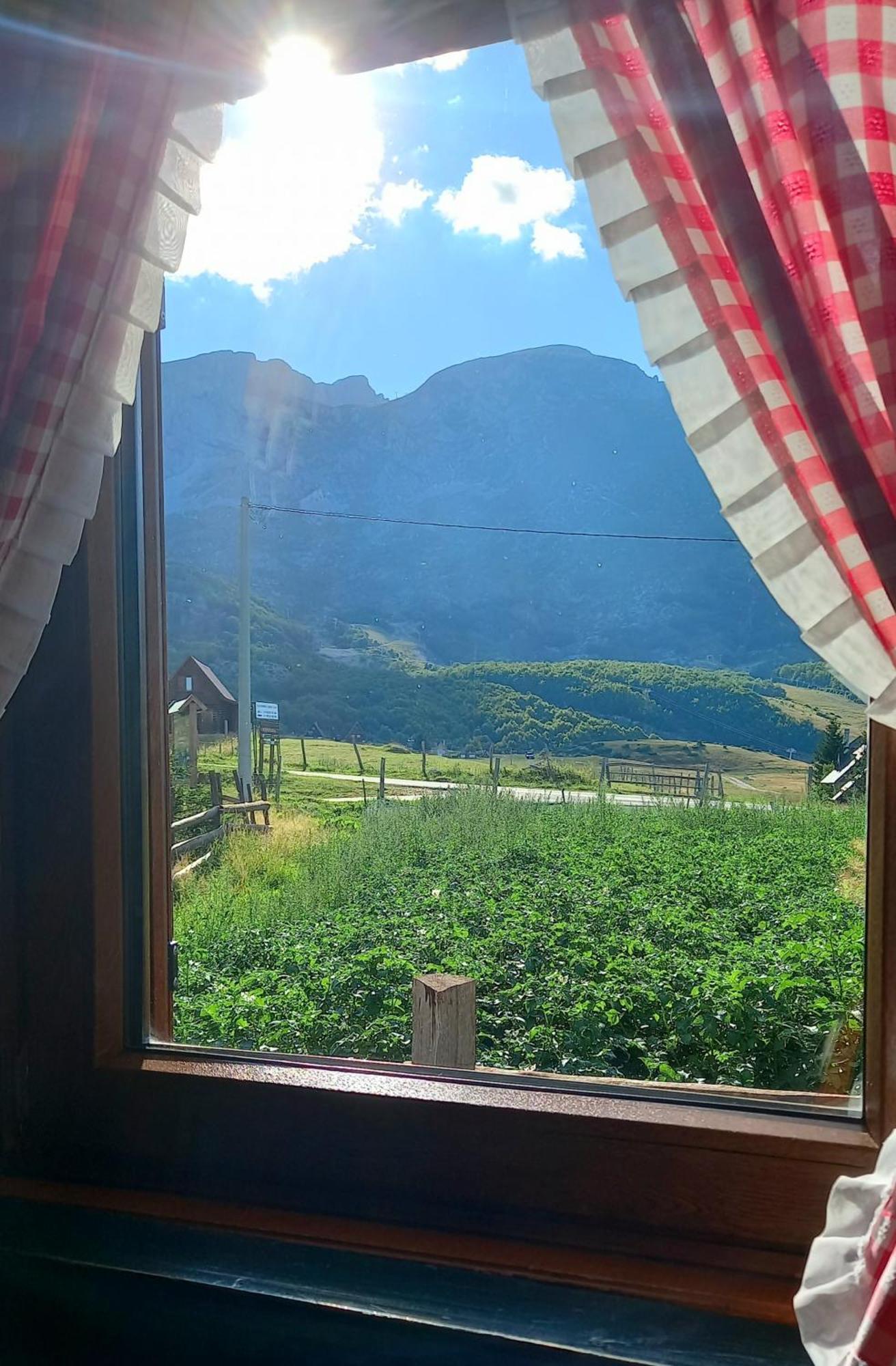 Family Farm Apartments Žabljak Rum bild